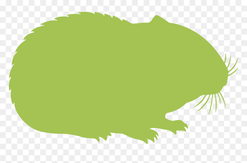 Hamsters » - Illustration, HD Png Download - vegetable silhouette png