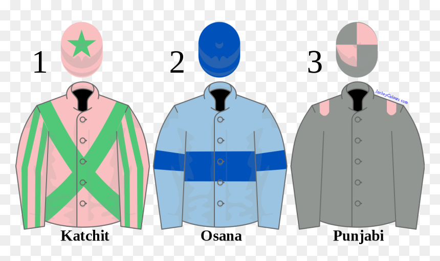 Cheltenham Racecourse, HD Png Download - hurdle png
