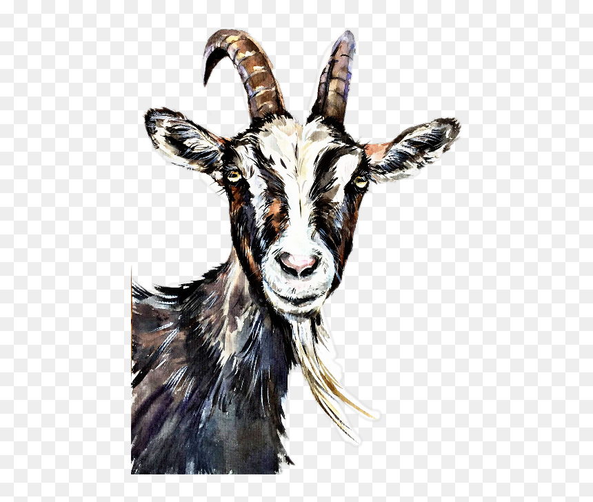 Goat Watercolor Painting, HD Png Download - goats png