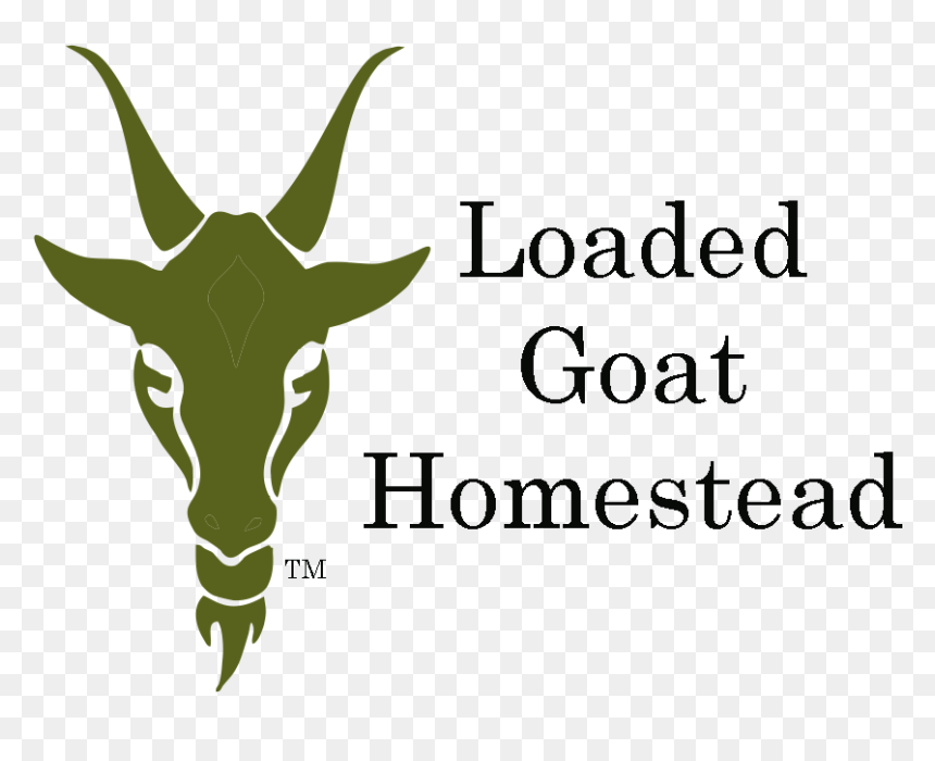Loaded Goat Homestead - Antelope, HD Png Download - goats png
