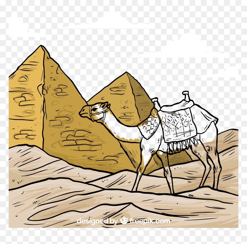 Camels Drawing Pyramid - Camel And Pyramids Drawing, HD Png Download - camels png