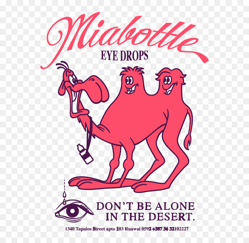 Transparent Camels Clipart - Arabian Camel, HD Png Download - camels png