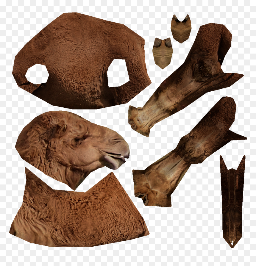 Masai Lion, HD Png Download - camels png