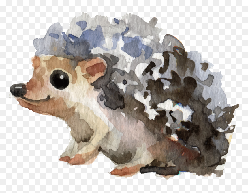 Hedgehog Clipart Watercolor Jpg - Hedgehog Clip Art Watercolor, HD Png Download - wild animals png