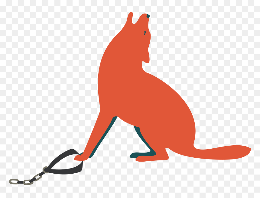 Puma, HD Png Download - wild animals png