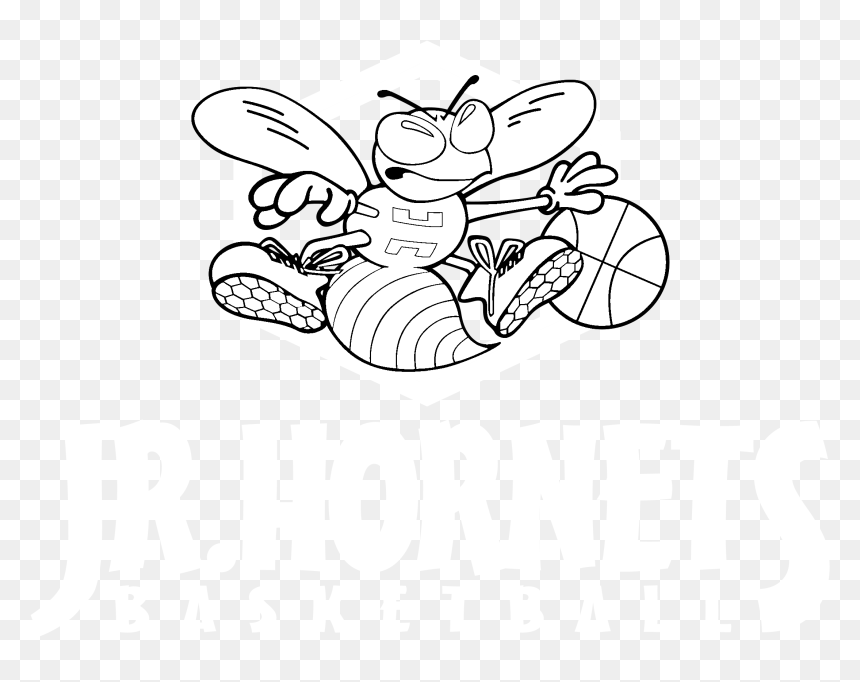 Transparent White Basketball Png - Cartoon, Png Download - white basketball png