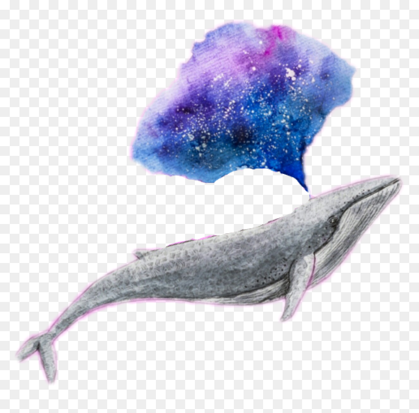 #whale #galaxy #edit #challenge #tumblr - Whale Transparent, HD Png Download - tumblr watercolor png