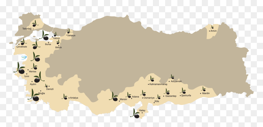 Brillo Png -turkey Olive Map - Turkey Language, Transparent Png - turkish flag png