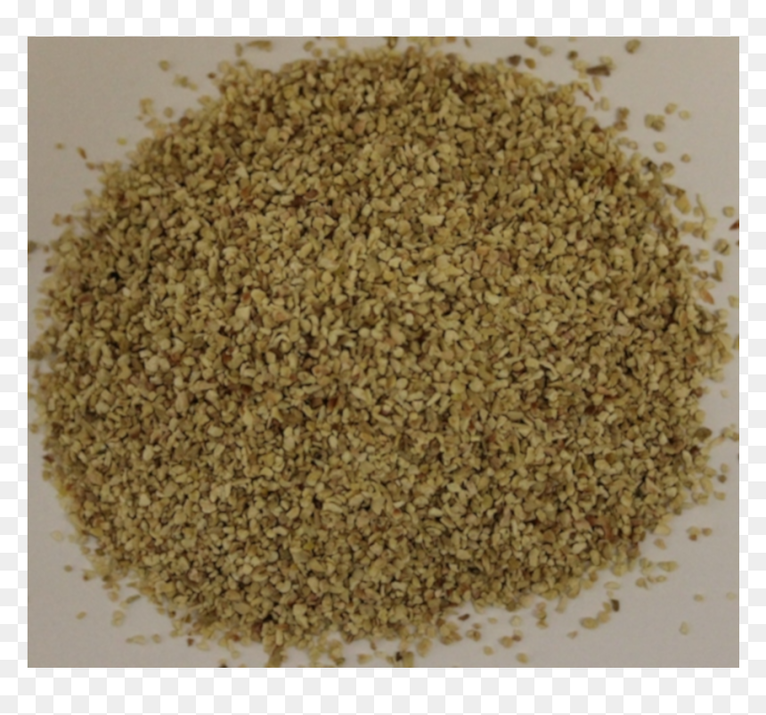 Sesame, HD Png Download - corn cob png