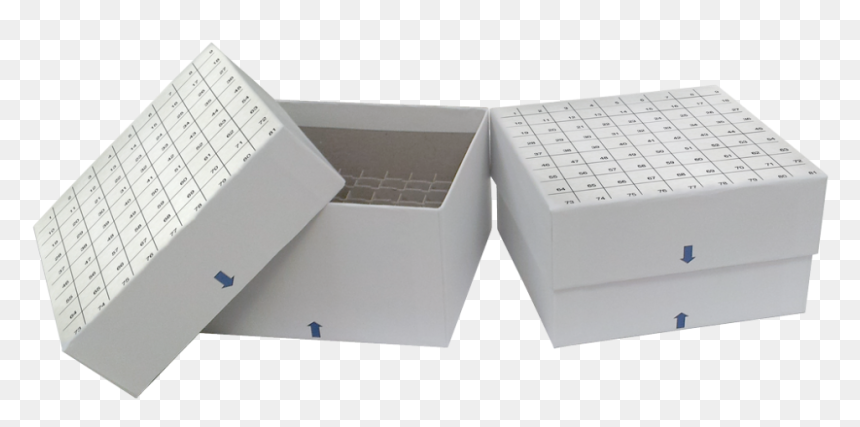 Transparent White Grid Png - Carton, Png Download - white canary png