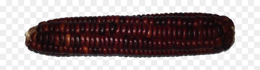Red Cherokee, HD Png Download - corn cob png