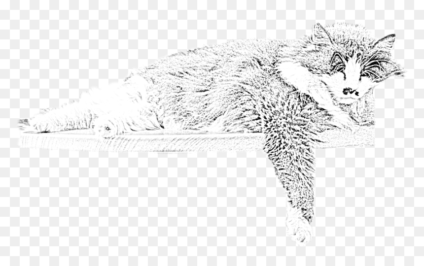 Whitecat Logo - Sketch, HD Png Download - black and white cat png