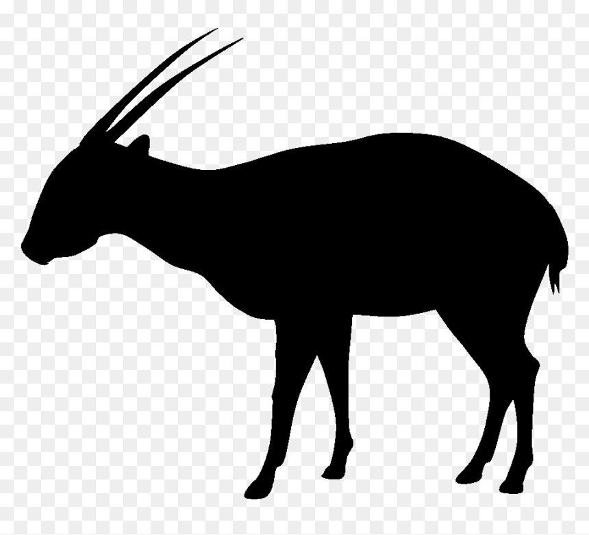 Transparent Goat Silhouette Png - Saola Silhouette, Png Download - goat silhouette png