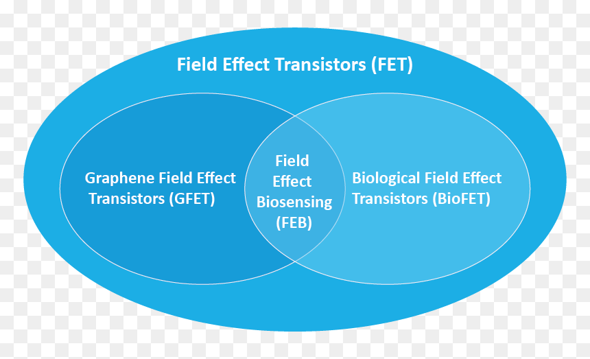 Venn Diagram Png -venn Diagram - Circle, Transparent Png - diagram png
