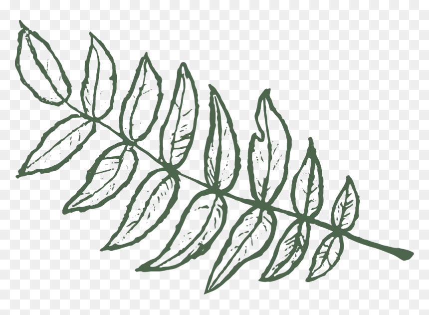 Lhl - Leaf - Instaleft - Drawing, HD Png Download - yam festival png