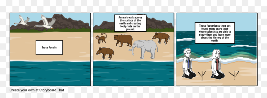 Lord Of The Flies Chapter 2 Storyboard, HD Png Download - fossils png