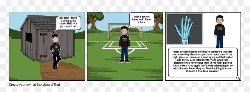 Soccer Field For Storyboard, HD Png Download - fossils png