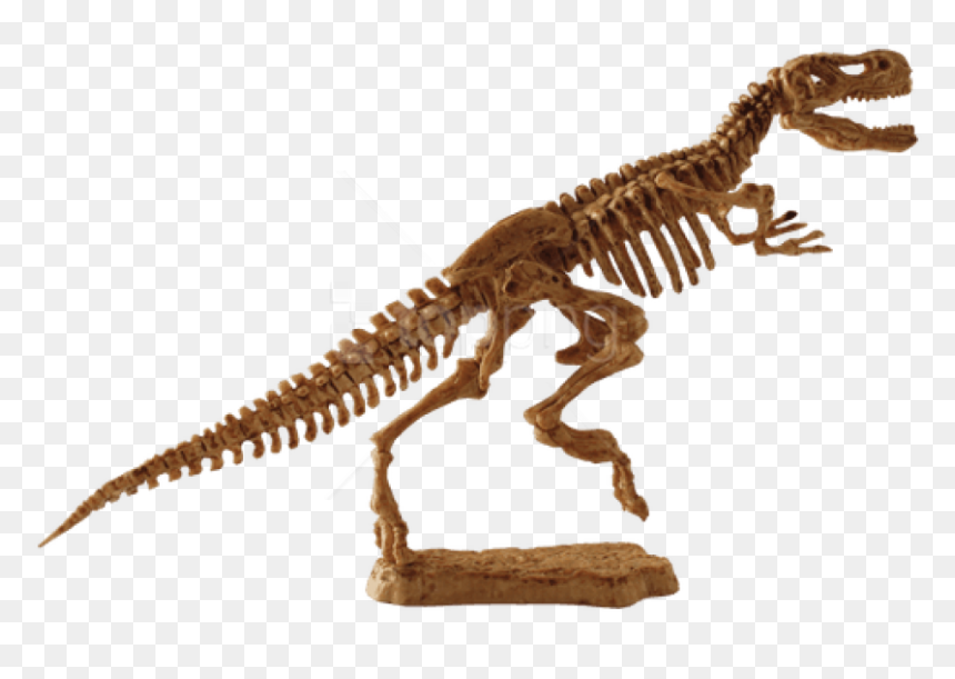 T Rex Clipart Fossil - Fosil De Tiranosaurio Rex, HD Png Download - fossils png