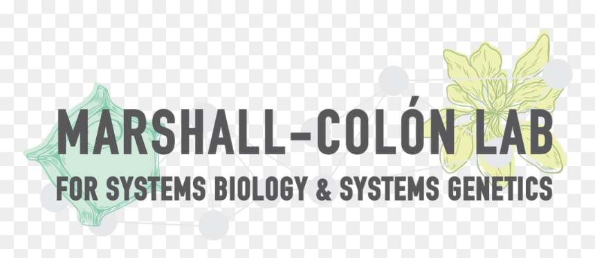 Picture - Hubbell Power Systems, HD Png Download - marshall logo png