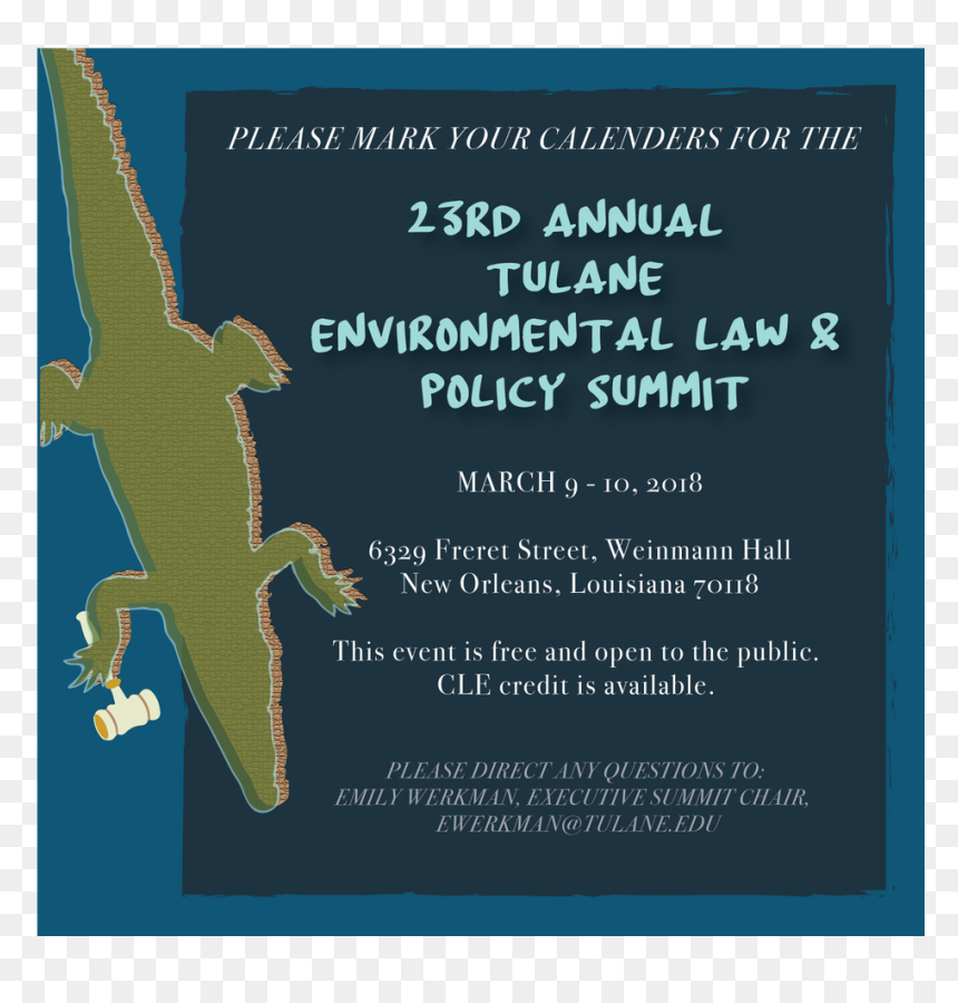 Alligator, HD Png Download - tulane png