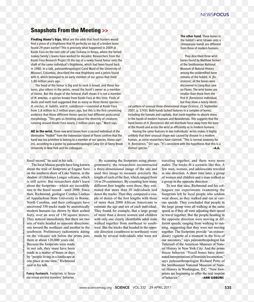 Folio Nineteen From Burchard Of Sion's De Locis Ac, HD Png Download - hobbit door png