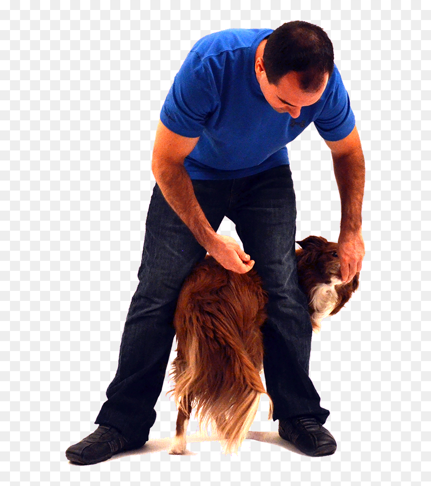 Sitting, HD Png Download - dog leg png