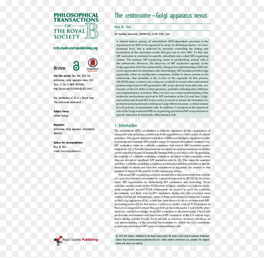 Transparent Golgi Apparatus Png - Untitled, Tailpiece, Pg. 135, In The Book Dingo By, Png Download - plaza png