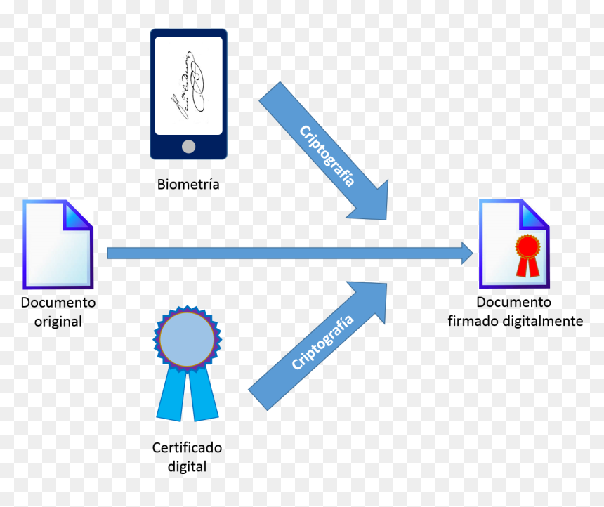 Achievement Presentation, HD Png Download - firma png transparente