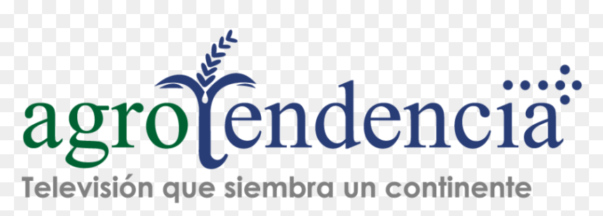 Blue Cross Blue Shield, HD Png Download - firma png transparente