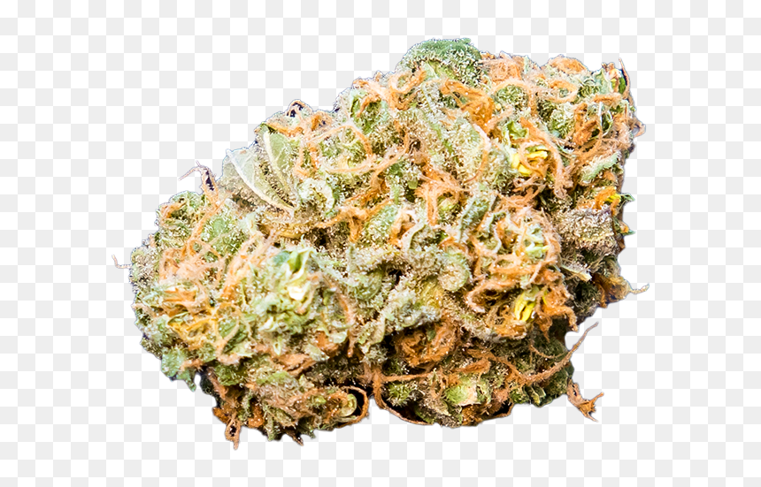 Pineapple, HD Png Download - nug png