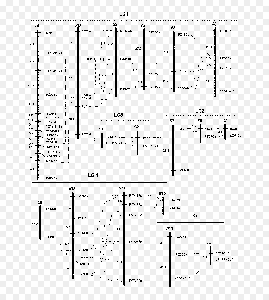 Diagram, HD Png Download - alamo png