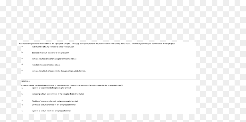Screenshot, HD Png Download - synapse png