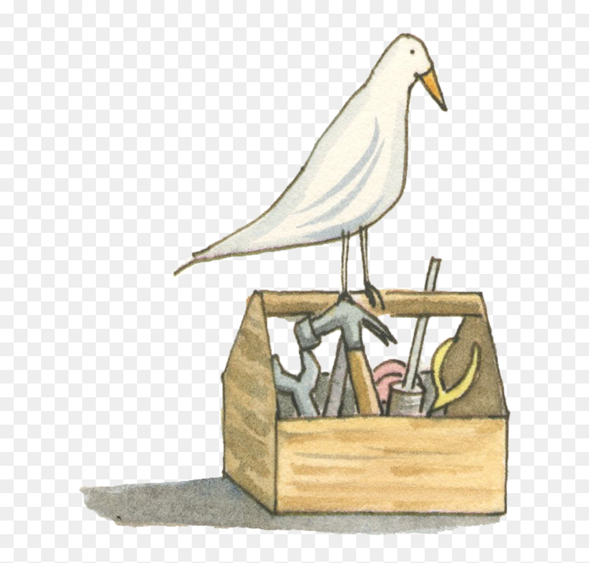 Tools Web - European Herring Gull, HD Png Download - kaiser png