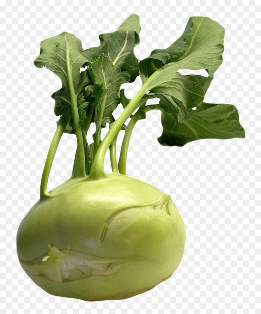 Fresh Kohlrabi With Green Leaves Png Image - Kohlrabi Png, Transparent Png - green vegetable png