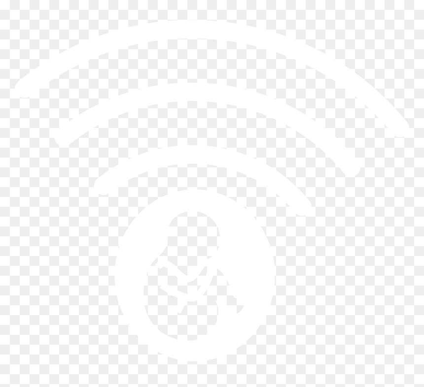 Illustration, HD Png Download - ultrasound png