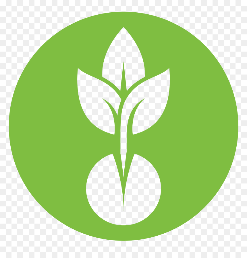 "
 Data Sizes="auto"
 Data Src="//cdn - Emblem, HD Png Download - seed icon png