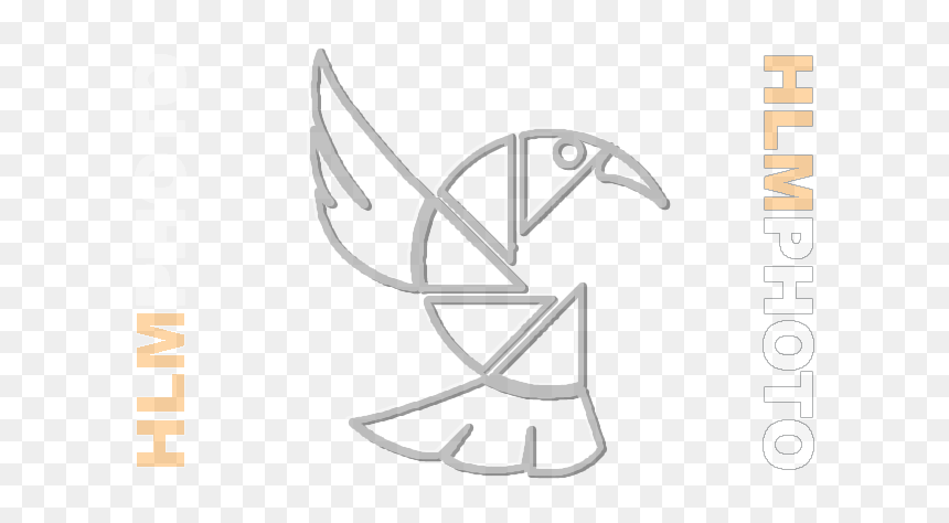 Calligraphy, HD Png Download - png watermarks