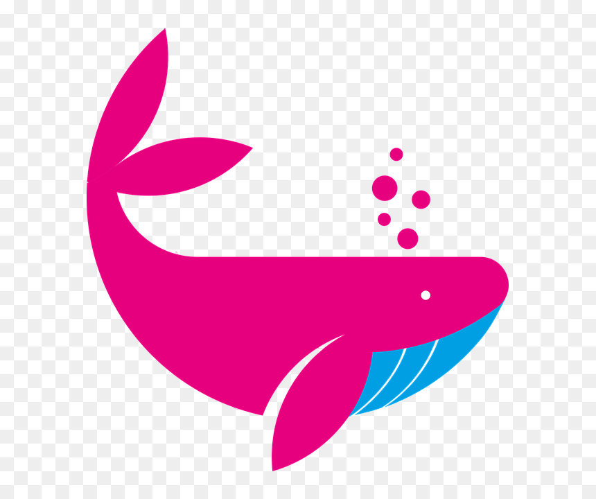 Website Design - Whale Golden Ratio Logo Png, Transparent Png - website design icon png
