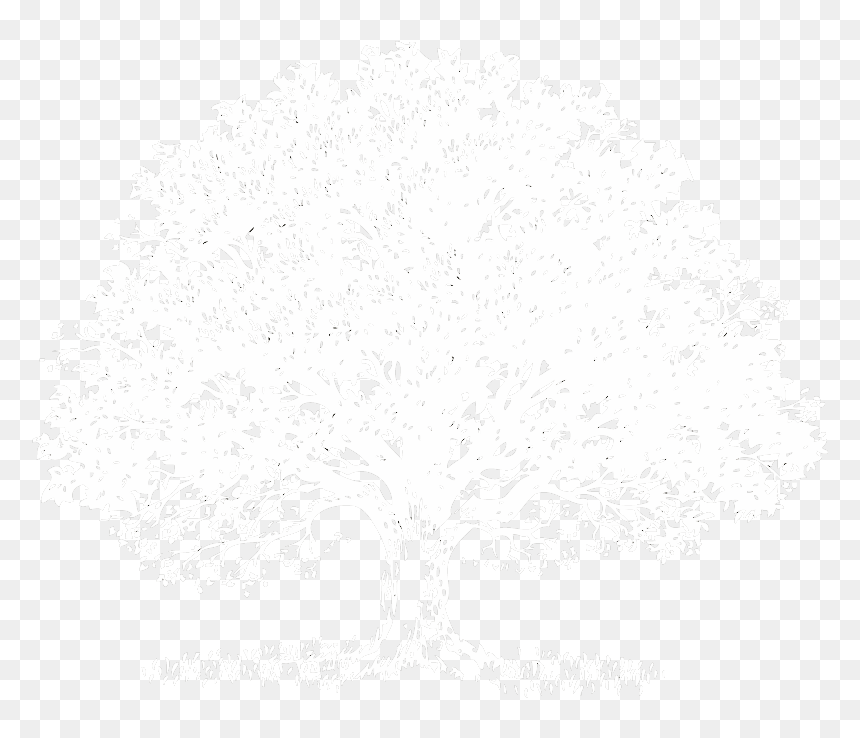 White On Transparent Png Download Memorial Funeral - Oaks Tree Transparent, Png Download - memorial png