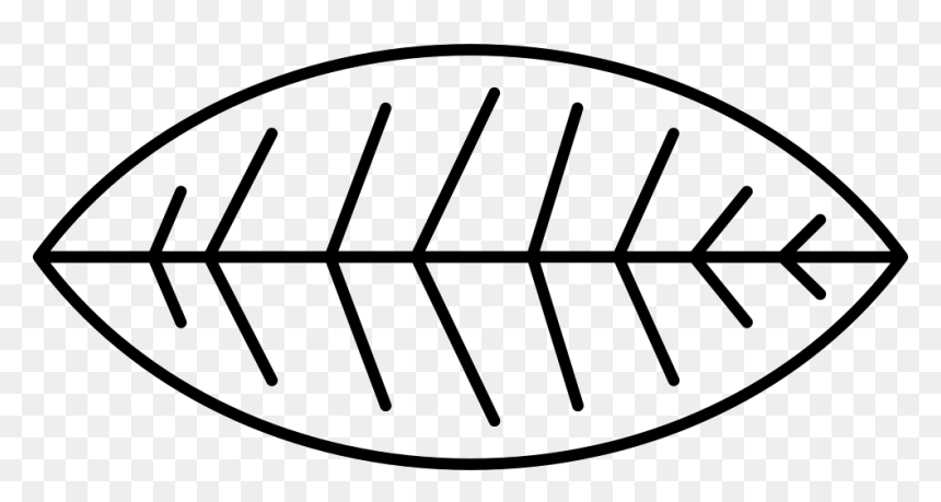 Circle, HD Png Download - bush png