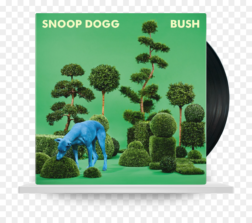 Bush Png, Transparent Png - bush png