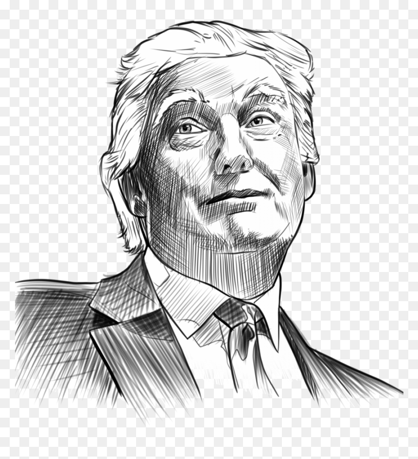 Donald Trump Sketch, HD Png Download - donald trump png