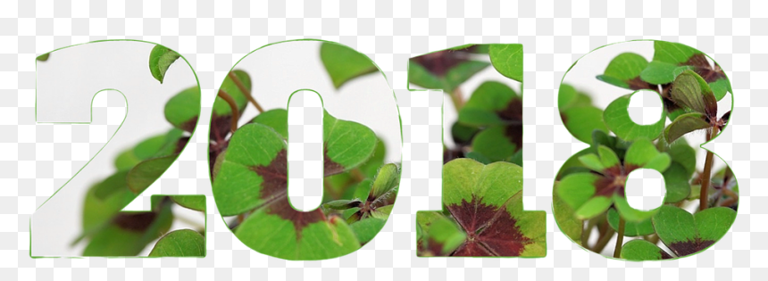 2018 Boldog Új Évet, HD Png Download - 2018 png