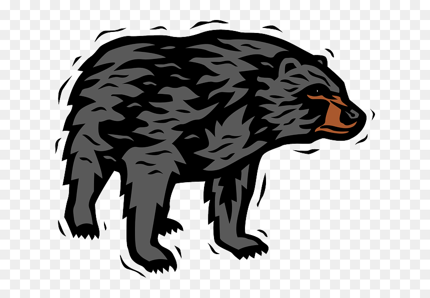 Zoo Animals To Print, HD Png Download - bear png