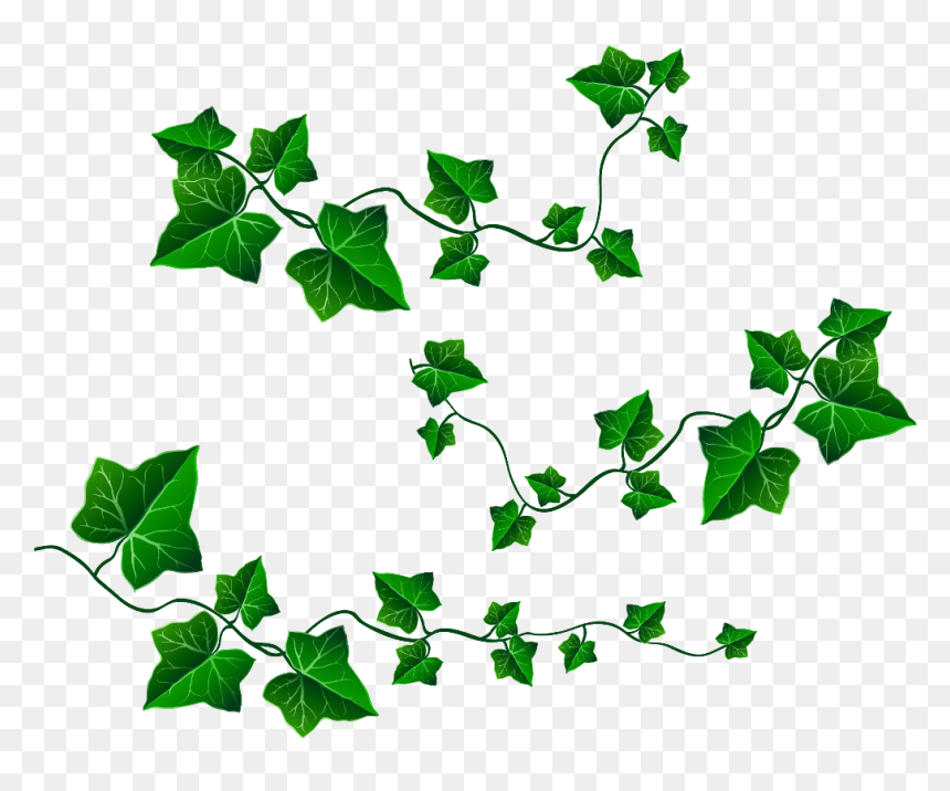 Clipart Vines And Leaves, HD Png Download - vines png