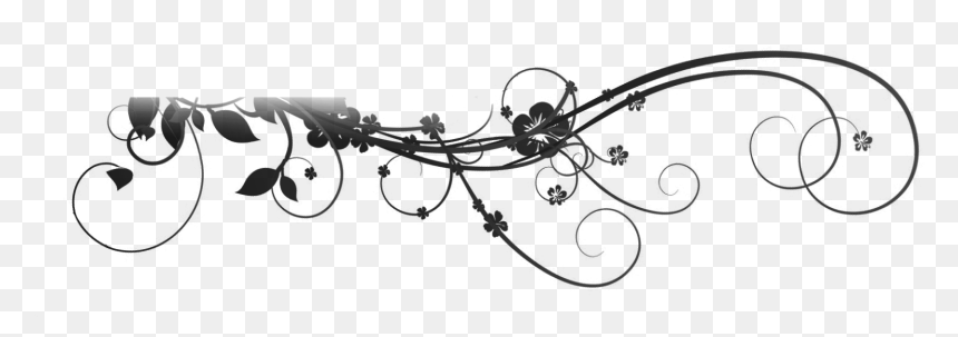 Dividers Black And White, HD Png Download - vines png