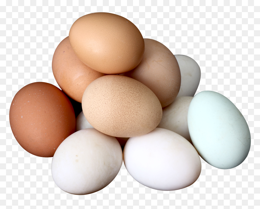 Eggs Png, Transparent Png - egg png