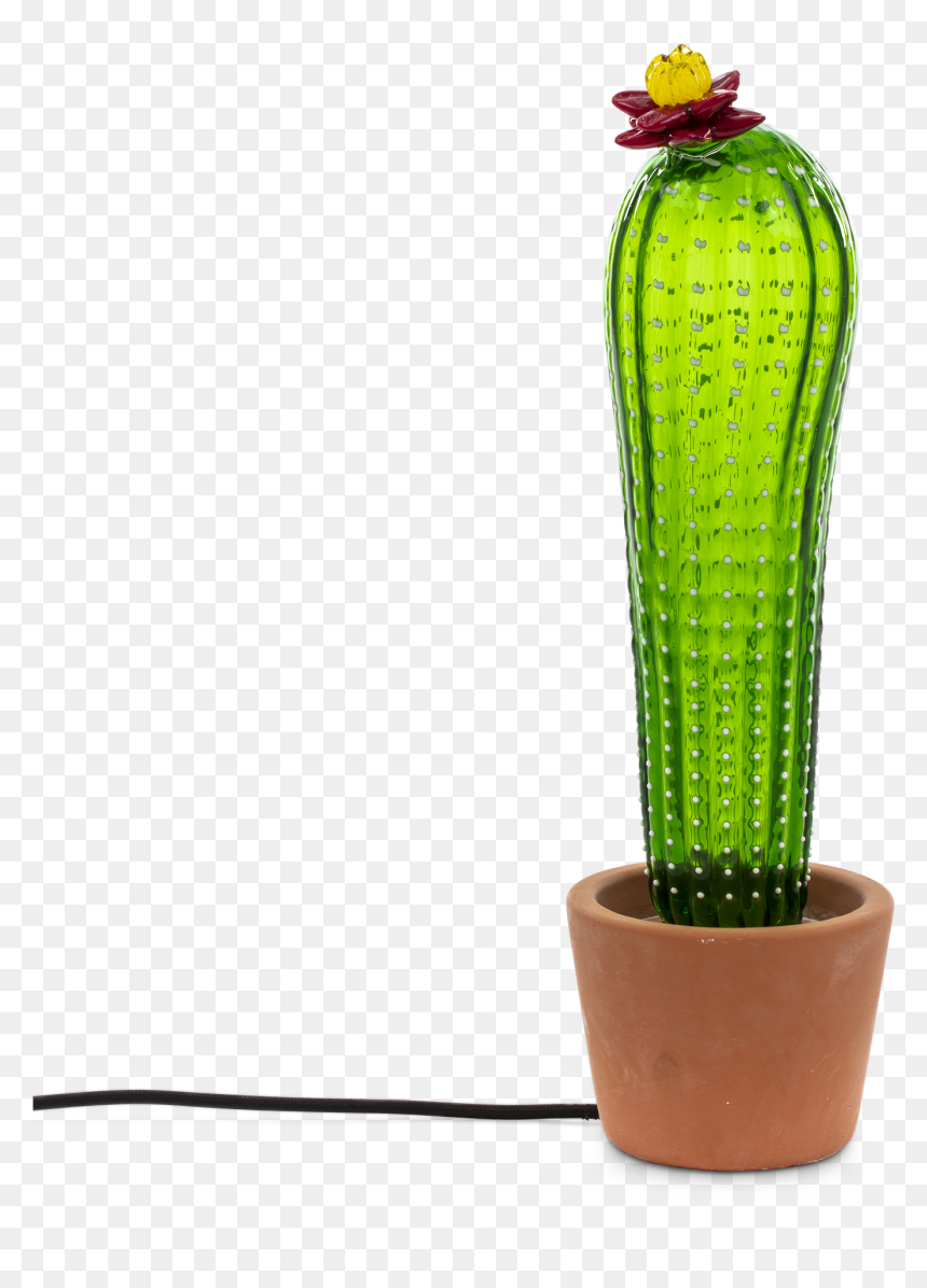Seletti Cactus, HD Png Download - cactus png