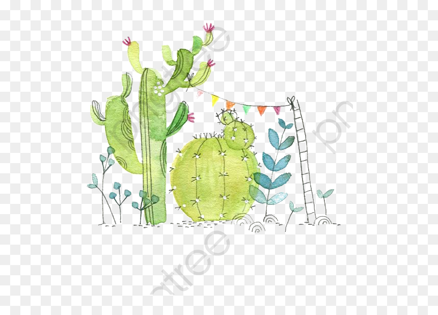 Water Color Cactus Png, Transparent Png - cactus png