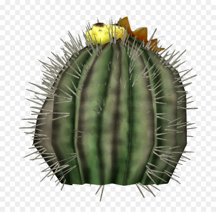 San Pedro Cactus, HD Png Download - cactus png